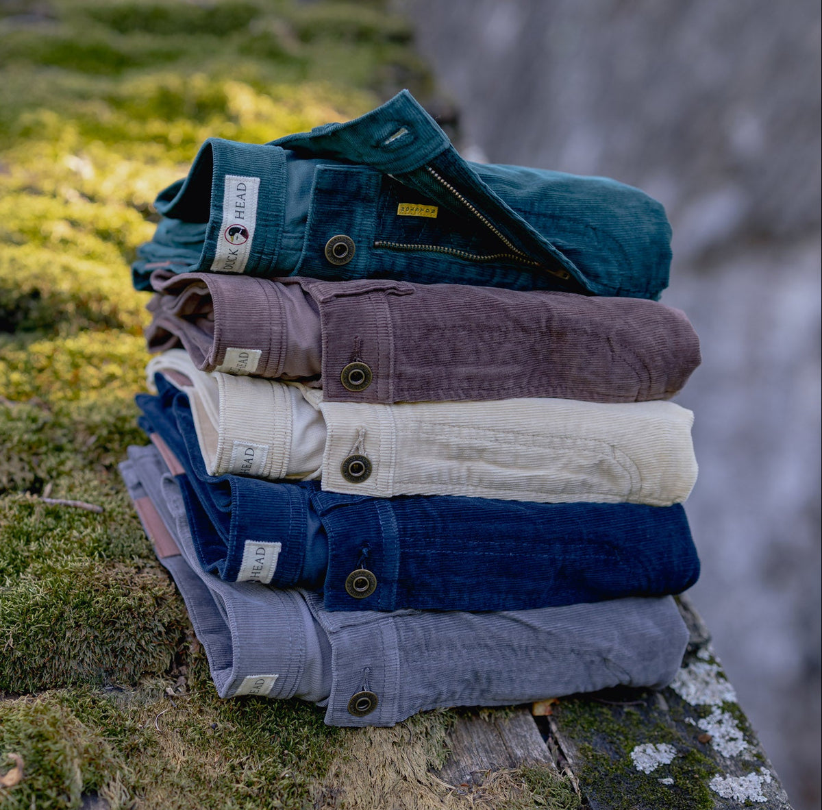 Corduroy