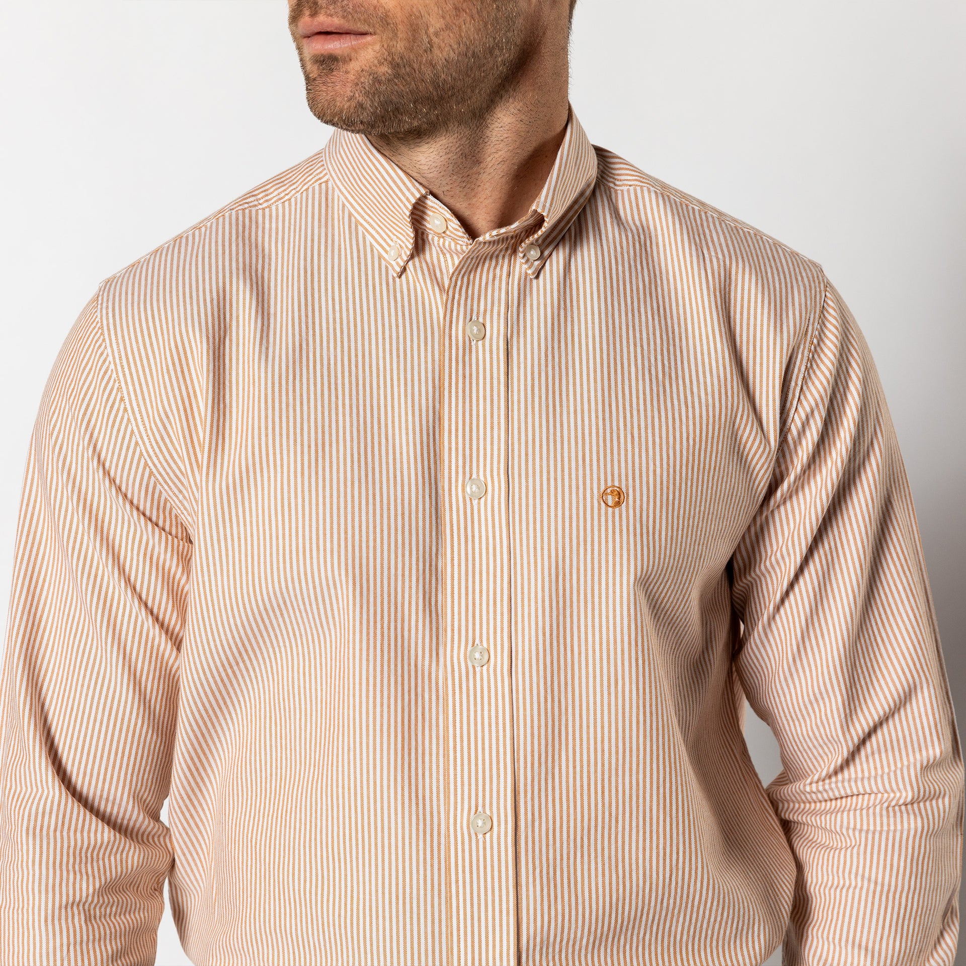 Cotton Oxford Sport Shirt - Collins Stripe