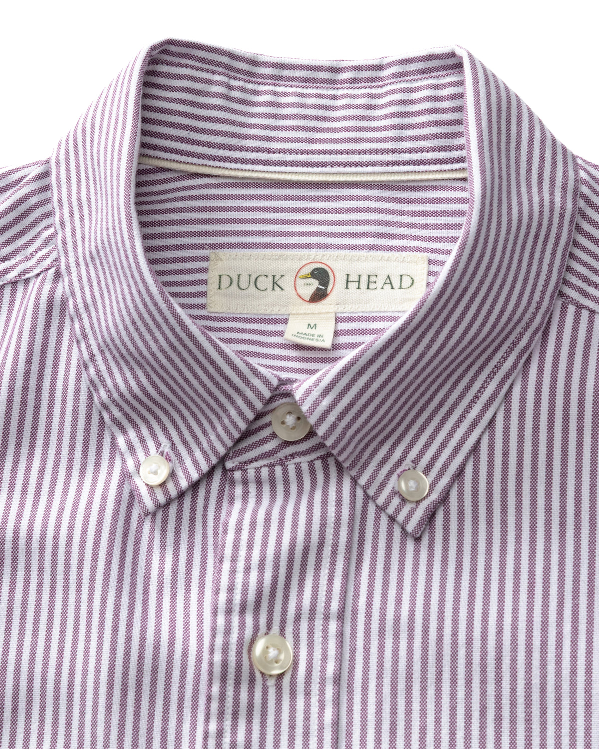 Cotton Oxford Sport Shirt - Collins Stripe - Aubergine