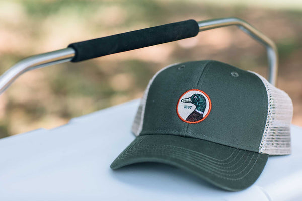 The Next Adventure...