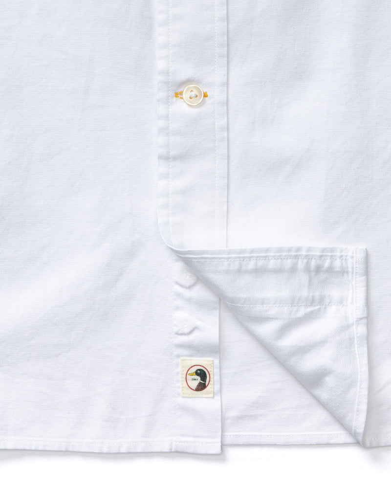 Cotton Oxford Sport Shirt - Morris Solid - White