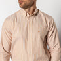 Cotton Oxford Sport Shirt - Collins Stripe - Harvest Spice