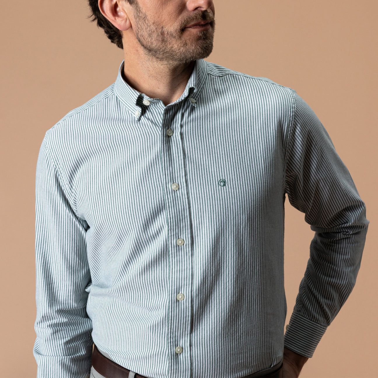 Cotton Oxford Sport Shirt - Collins Stripe - Hunter Green