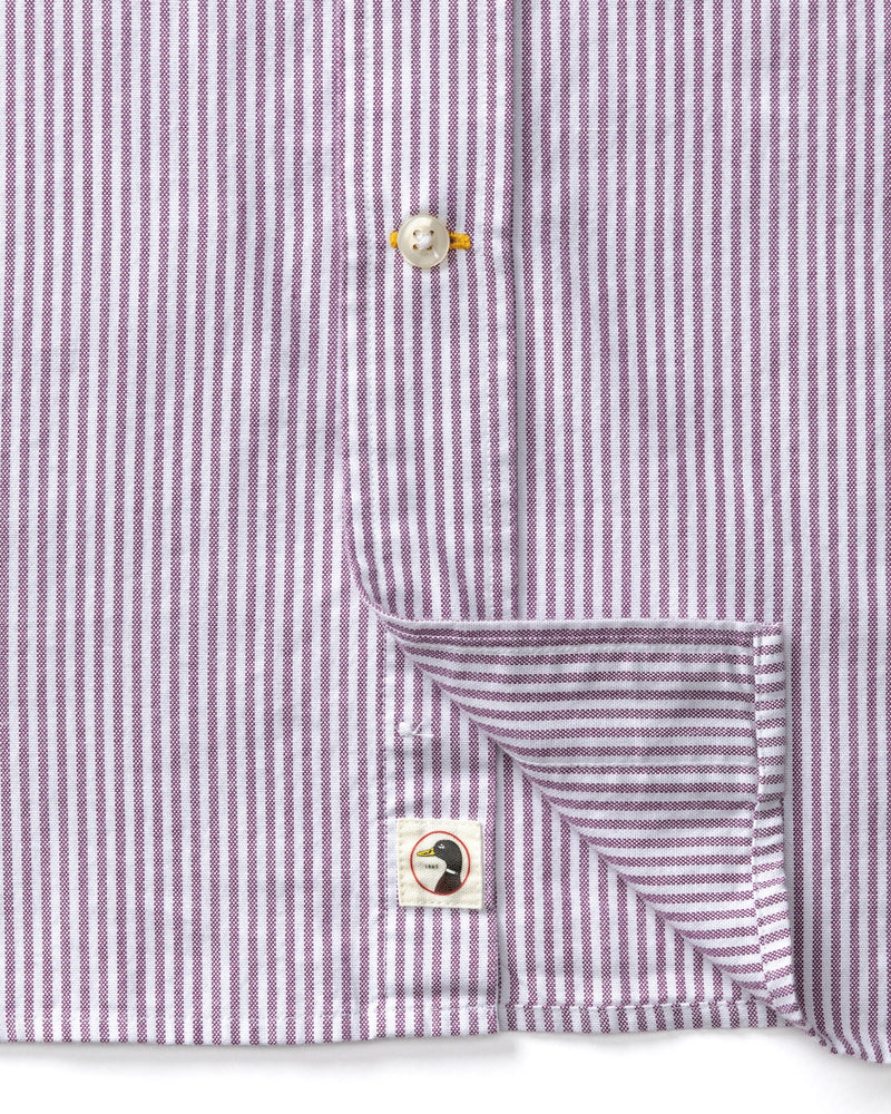 Cotton Oxford Sport Shirt - Collins Stripe - Aubergine