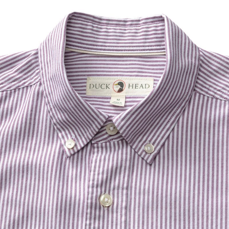 Cotton Oxford Sport Shirt - Collins Stripe - Aubergine