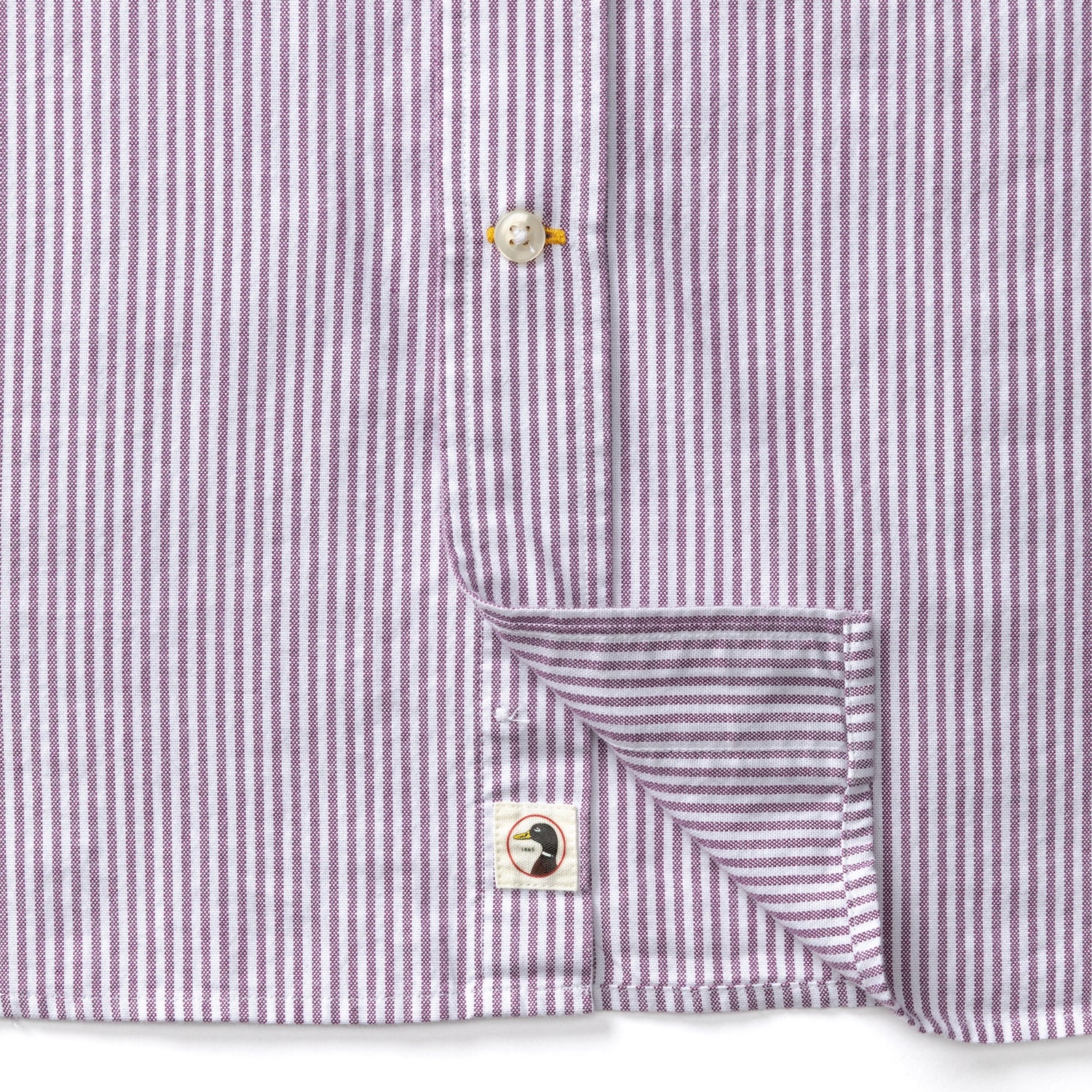 Cotton Oxford Sport Shirt - Collins Stripe - Aubergine