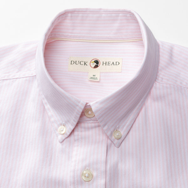 Cotton Oxford Sport Shirt - Collins Stripe - Pale Pink