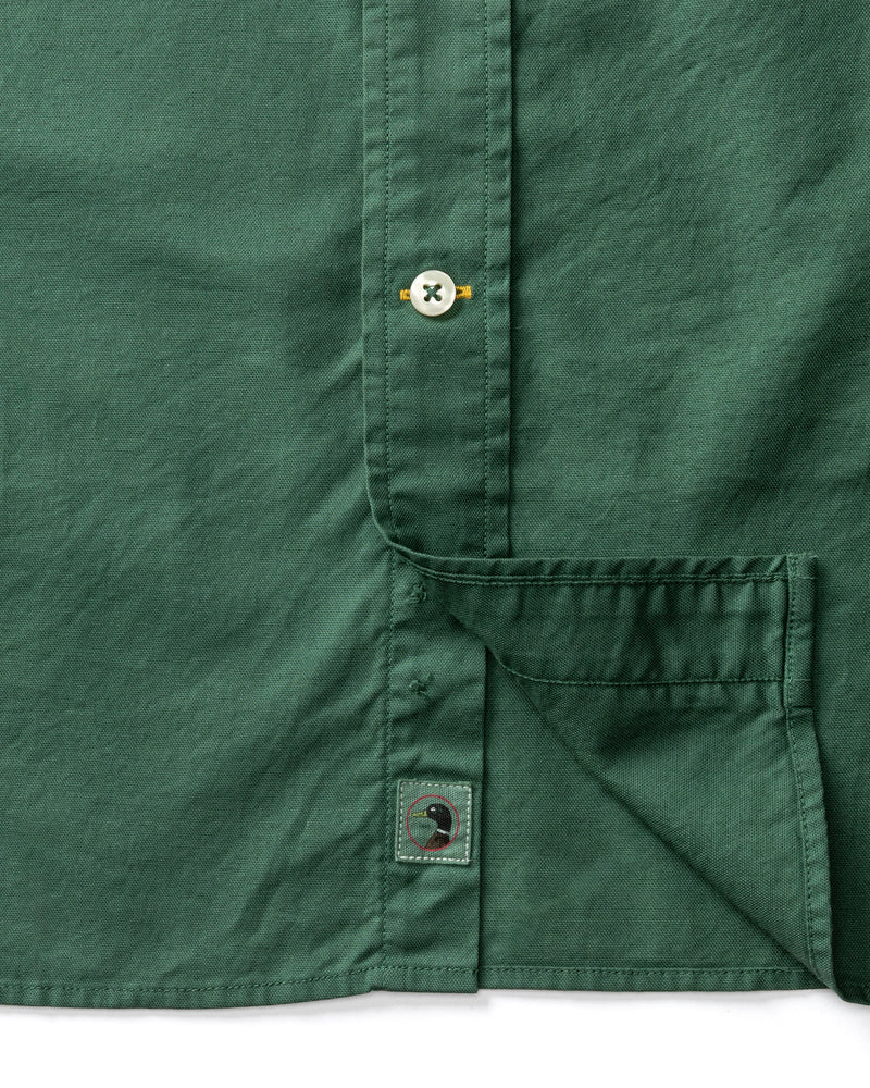 Cotton Oxford Sport Shirt - Beck Solid - Hunter Green