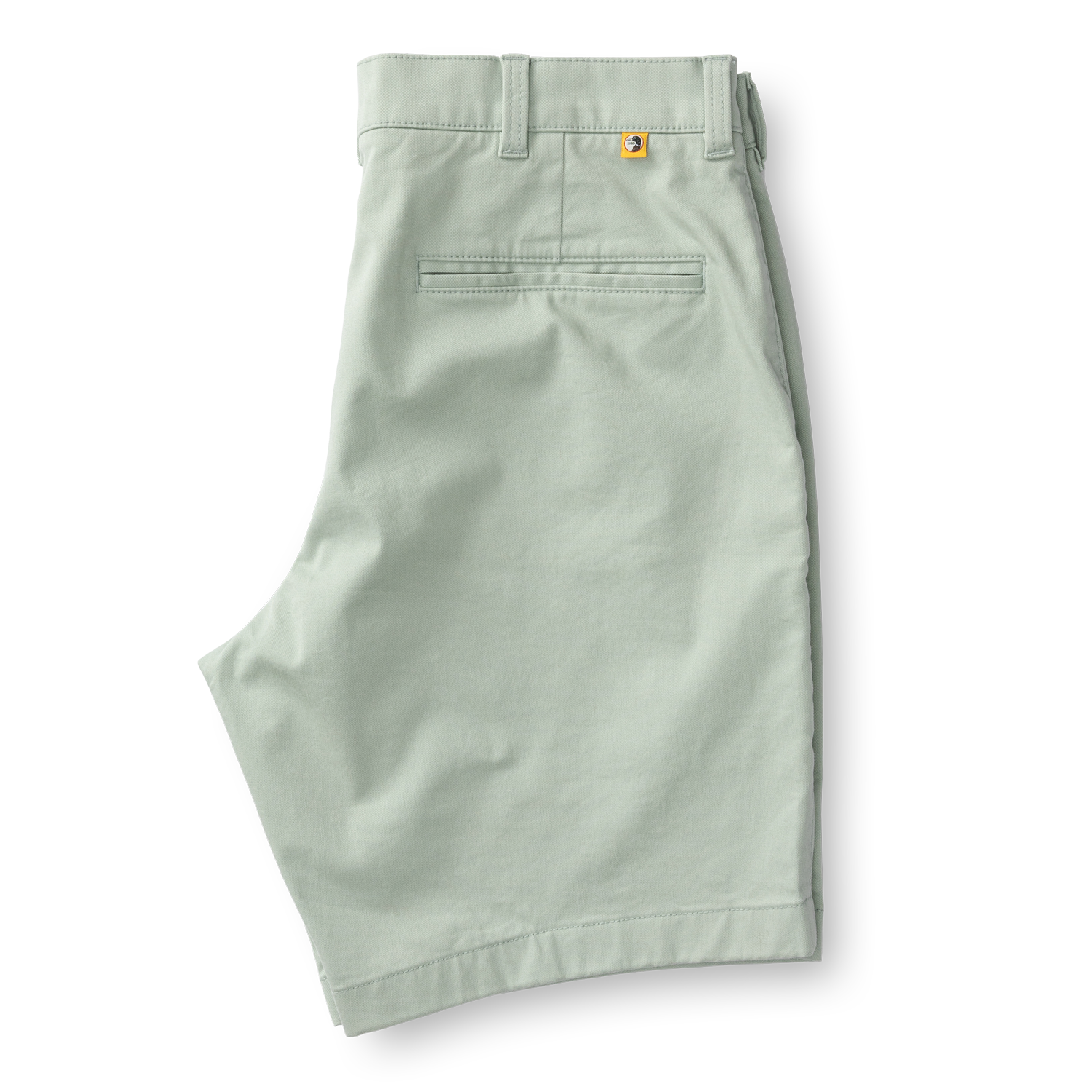 9" Gold School Chino Short - Shadow Green