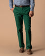 Classic Fit Gold School Chino - Hunter Green