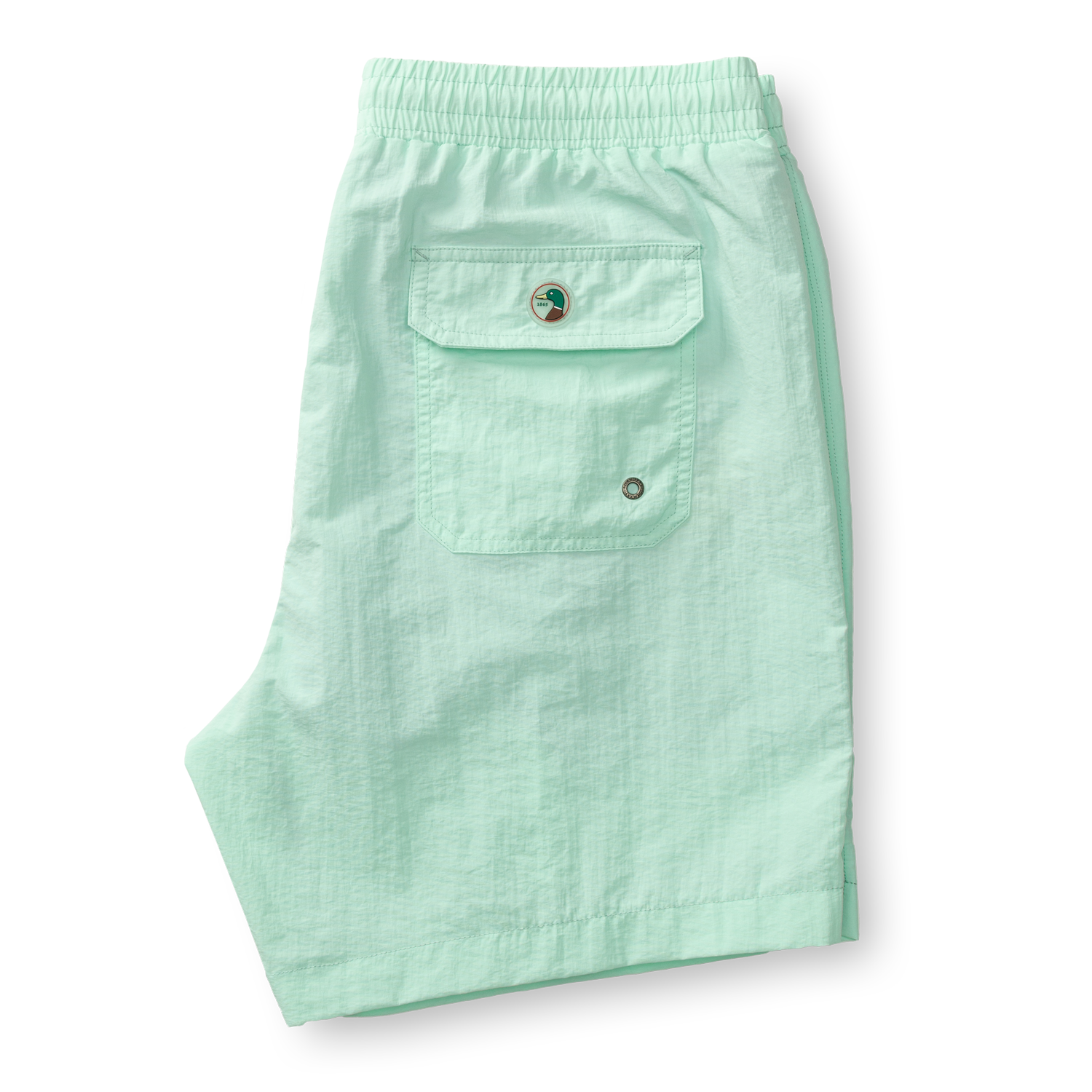 6" Sailport Swim Short - Seafoam Green