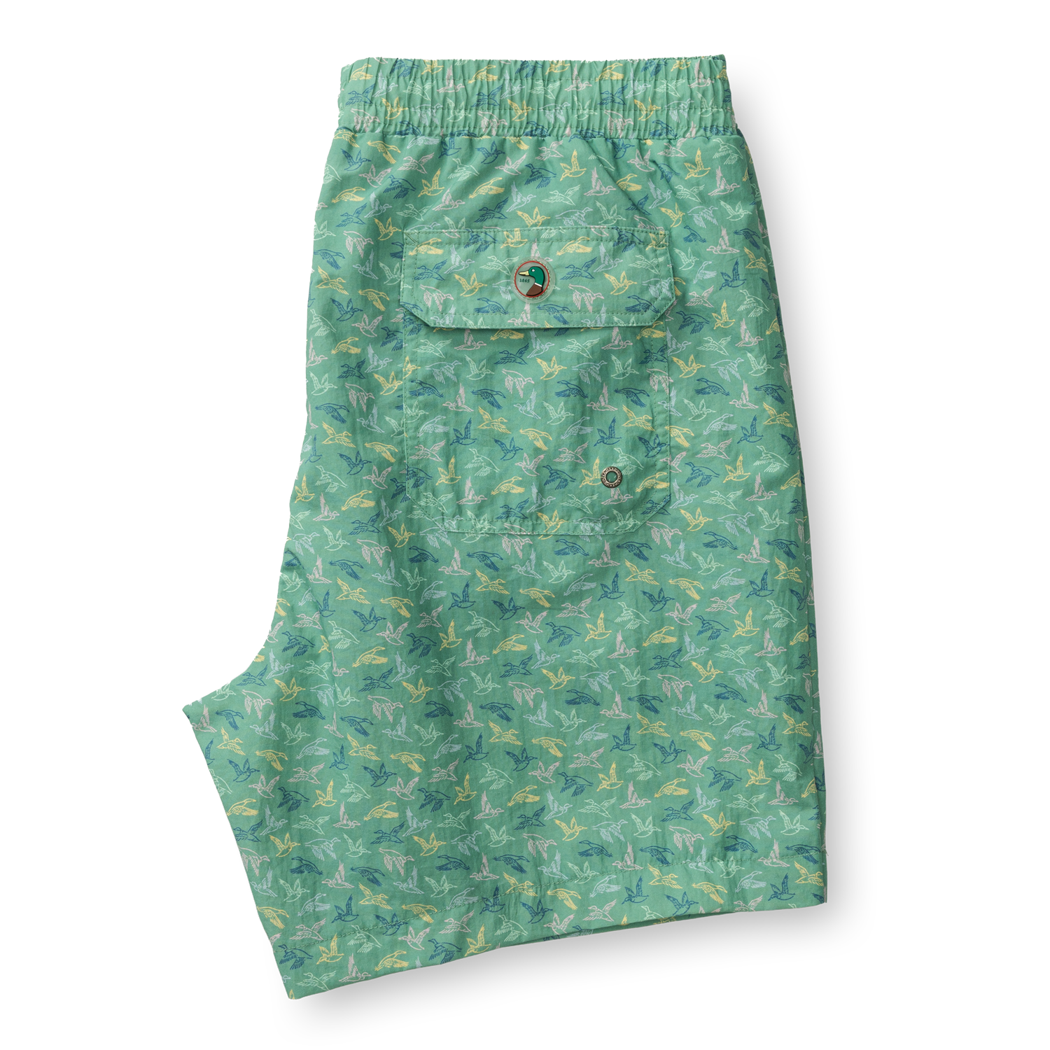 6" Sailport Swim Short - Aspen Green