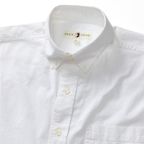 Morris Solid Cotton Oxford Sport Shirt